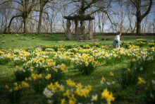 It feels like Spring