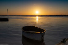 Waiting for the dawn